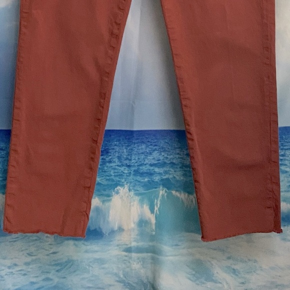 Frank & Eileen WICKLOW The Italian Chino Italian Performance Twill Size: 4 RUST - Picture 5 of 16